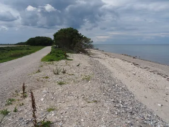 Halshuisene + Enebaerodde Beach (Denemarken)